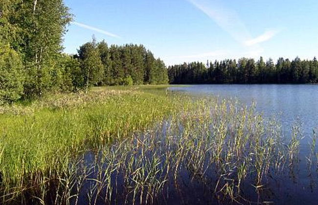 Pikku-villa - Foto 9