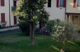 lacasadicorte - Foto 13