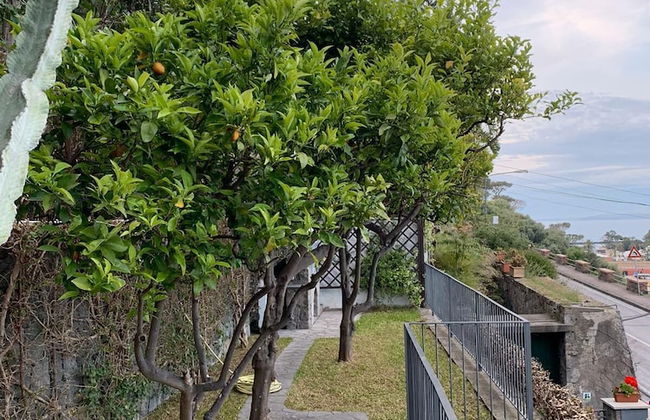 Upper Class - Photo 13