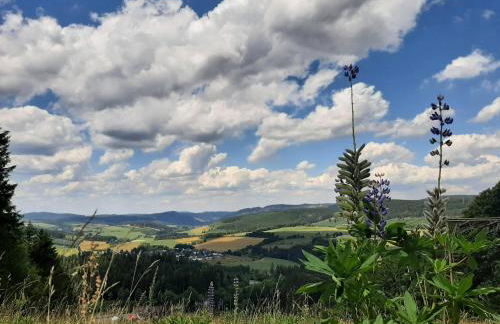 Garden apartment Winterberg WOODS - Foto 14