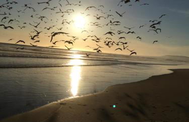 Costa de Caparica - Foto 40