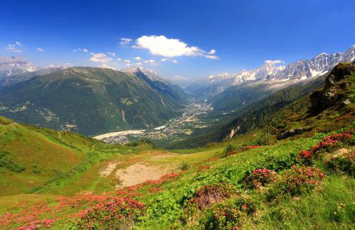 Résidence Androsace 31 - Happy Rentals - Foto 19