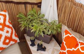 Vila Negreiros Serra Negra Casa 4 - Foto 16