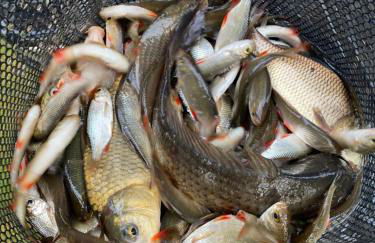 lake view staycations - Foto 24