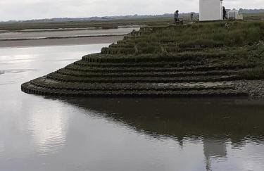 les coquelicots en baie de Somme - Foto 9