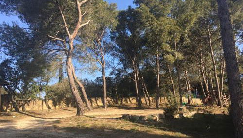 La Pujauline - Foto 3