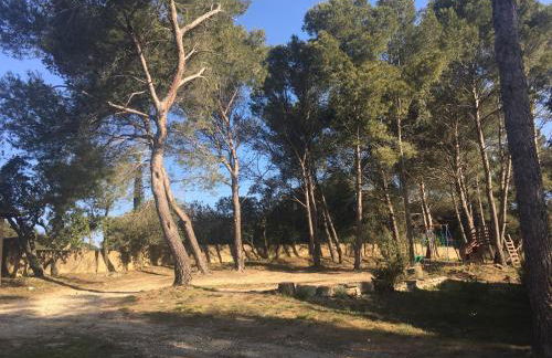 La Pujauline - Photo 3