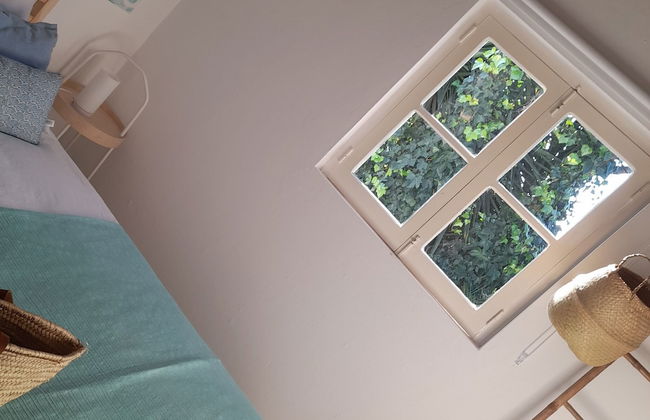 Casa da Vinha - Foto 4