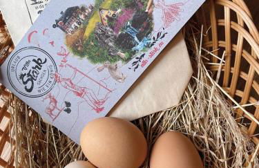 Dornröschen-Loft - Photo 37