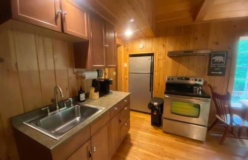 Private Cabin on 1.7 acres w/ Fireplace White Mtns - Photo 13