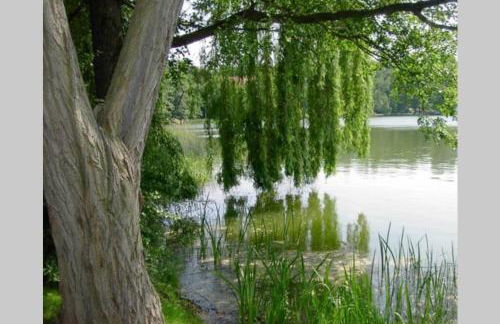 Ferienhaus Mey - Foto 19