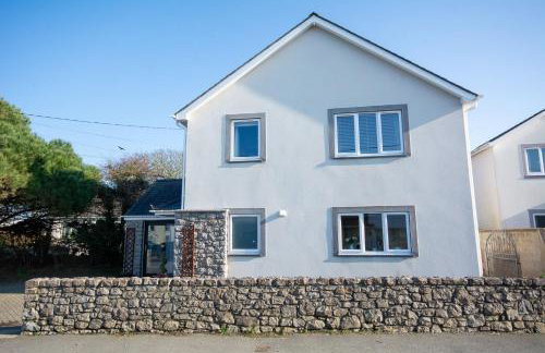 Pine Cones - Foto 26