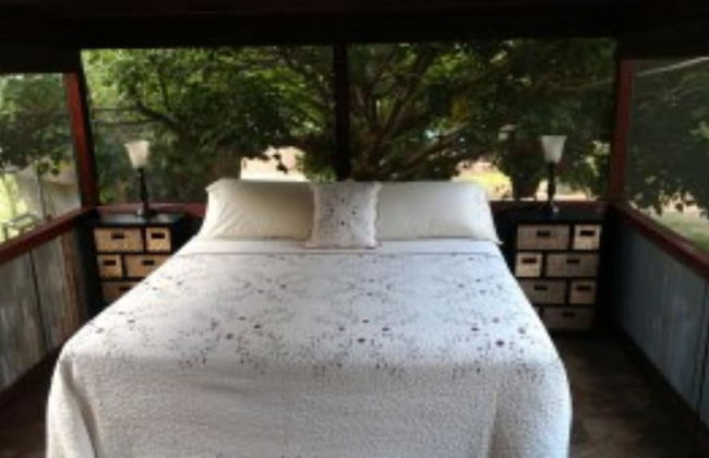 Coral Tree House - Foto 3