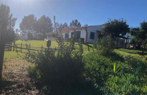 Villa Monte dos Pinheiros - Photo 5