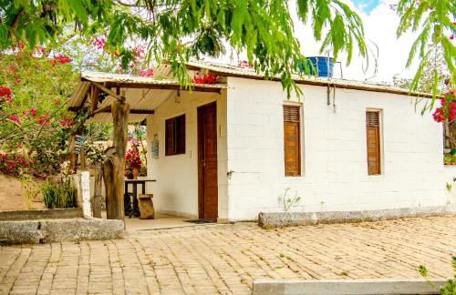 Paradise Camp - Foto 46