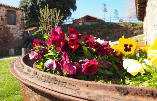 Mas Cal Sastre - Foto 78