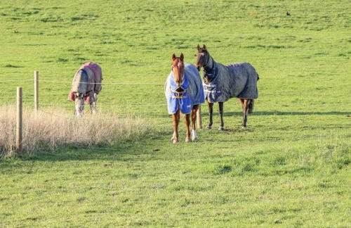 The Robins Nest - Foto 64