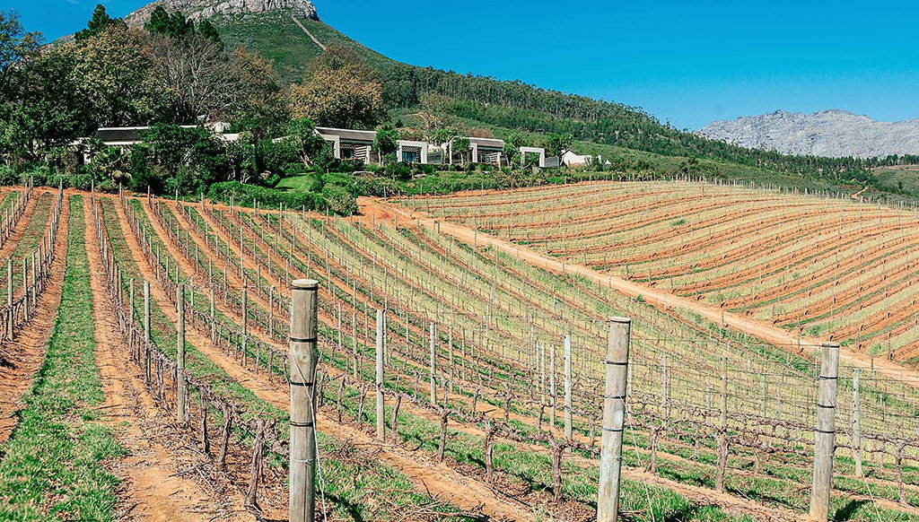 The Bekaa Valley Wineries - Photo 1