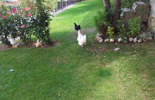 Casa Rural Basaula - Foto 37