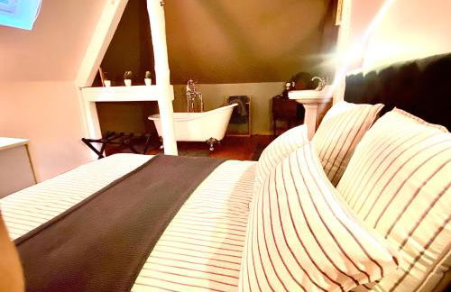 LA VILLA DES OISEAUX - La Petite Pierre - Foto 48