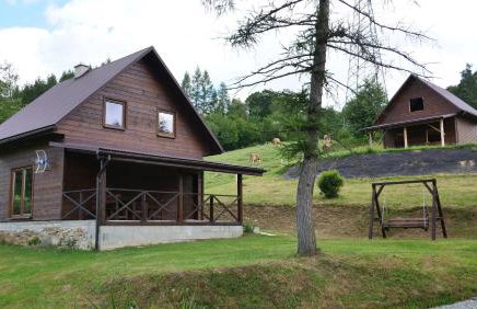 Domki Bieszczadzka Polana - Foto 1