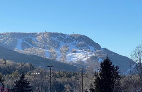 Hunter Mountain Sanctuary - Foto 28