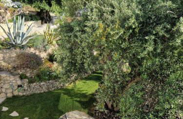 Villa Olivia - Photo 7