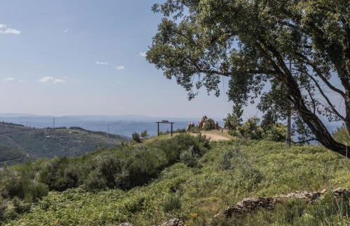 Casa da Avó Emília - Photo 34