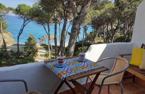 lamarzellina - Foto 21