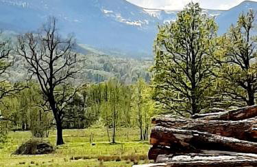 Apartament Sasanka - Foto 32