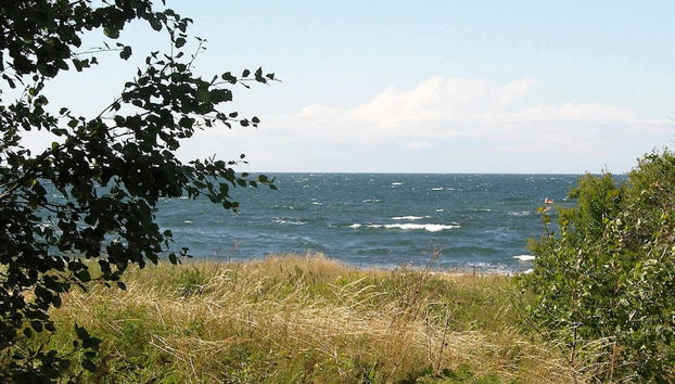 4 Person Holiday Home in Hasle - Foto 3, Miscelánea