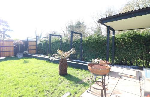 Old Rosie, By House of Pause - Foto 5