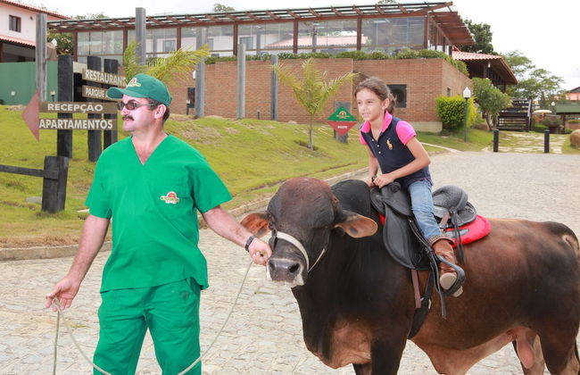 Fazenda Monte Castelo - Foto 15