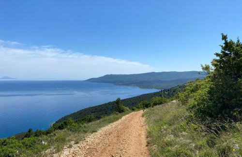 Villa Castelina - Foto 24