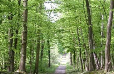 Appartement lumineux à 20mn de Paris en RER A - Foto 35