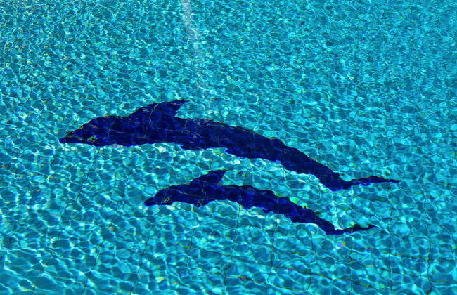 Villa Olivia Clara in Sifnos - Foto 22