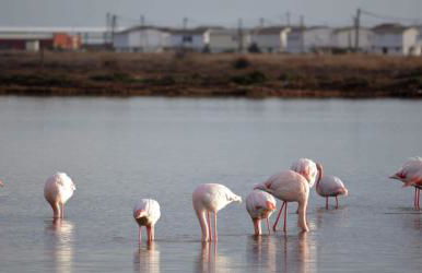 Très beau Studio Cosy à 500m de la Plage - Foto 31