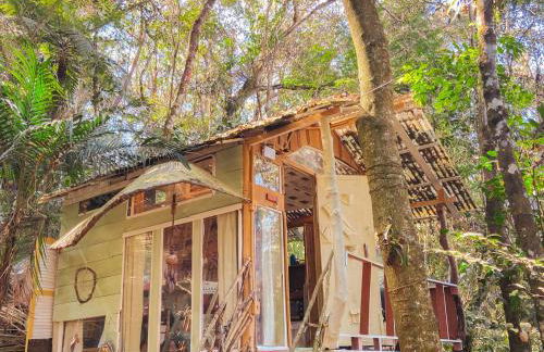 Cabana Floresta Amada - Photo 10