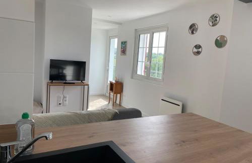 New apartment, mountain view, Espelette, 1er etage - Foto 8