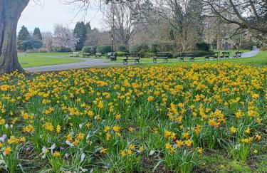 3 Bed Countryside Cottage in Harrogate with free parking and strong wifi - Photo 40