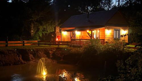 Ranczo Stany - Photo 3