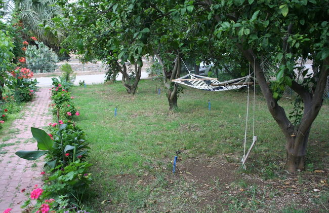 Naz Apart Cirali - Photo 24