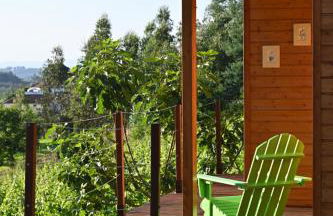 Quinta da Aldeia Nova - Foto 41