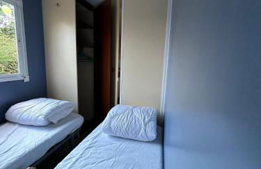 Salamandre - Foto 23