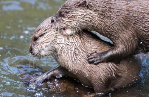 Paddler's Lane Retreat - Foto 58