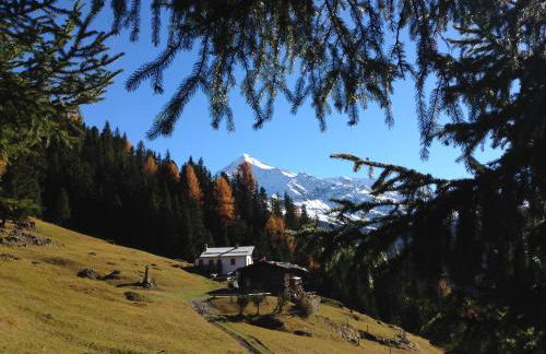 Chalet Del Bosco - Photo 31