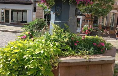 Les charmes de la Kirneck - Photo 37