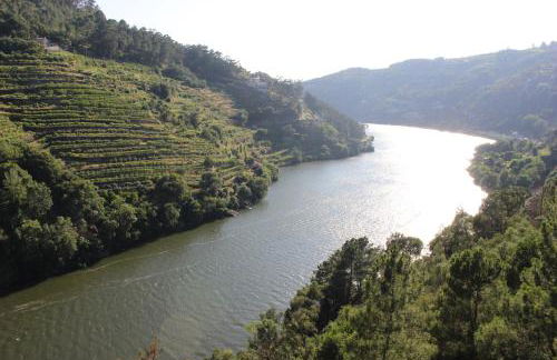 Casa do Passarinho - Foto 31