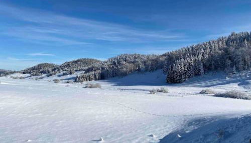Appmt 4 pers aux pieds des pistes - Foto 3