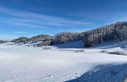 Appmt 4 pers aux pieds des pistes - Foto 3